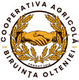 biruintaolteniei.ro