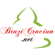 brazicraciun.net