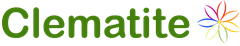 clematite.ro