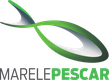 marelepescar.ro