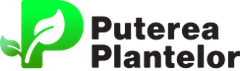 putereaplantelor.ro/